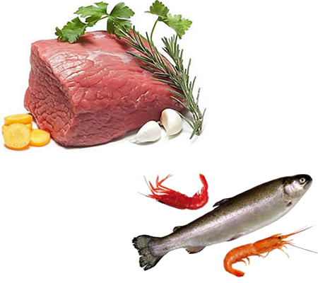 肉食品水產(chǎn)品烘干機、肉脯烘干設(shè)備、肉類烘干設(shè)備